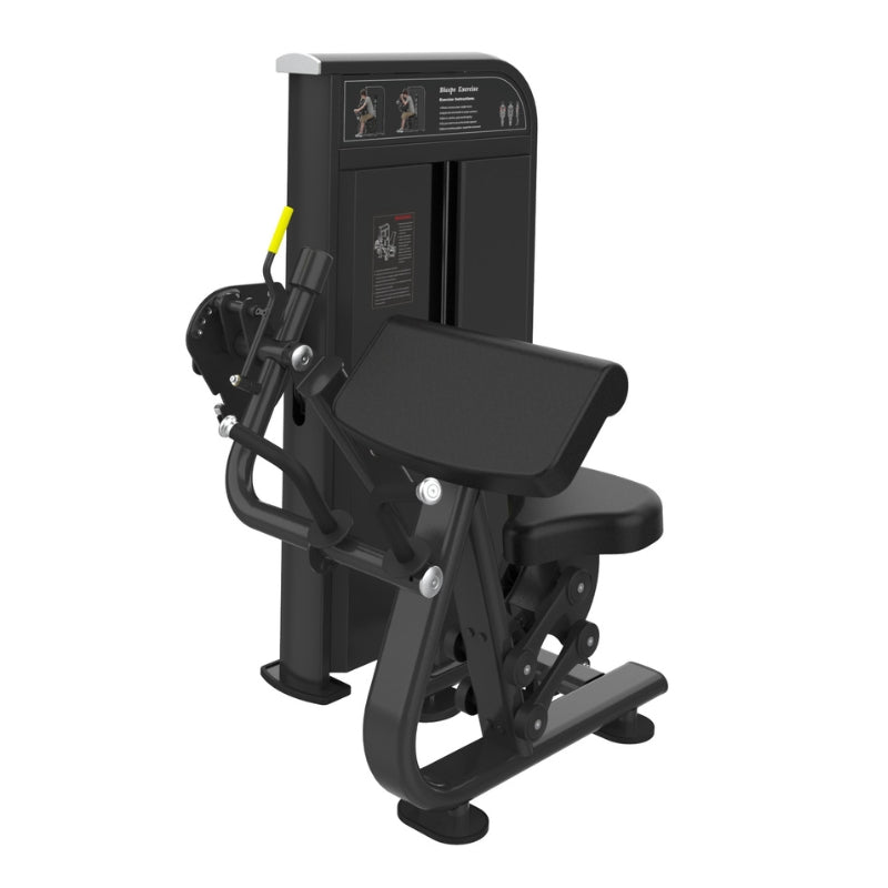 Preacher Curl Bench