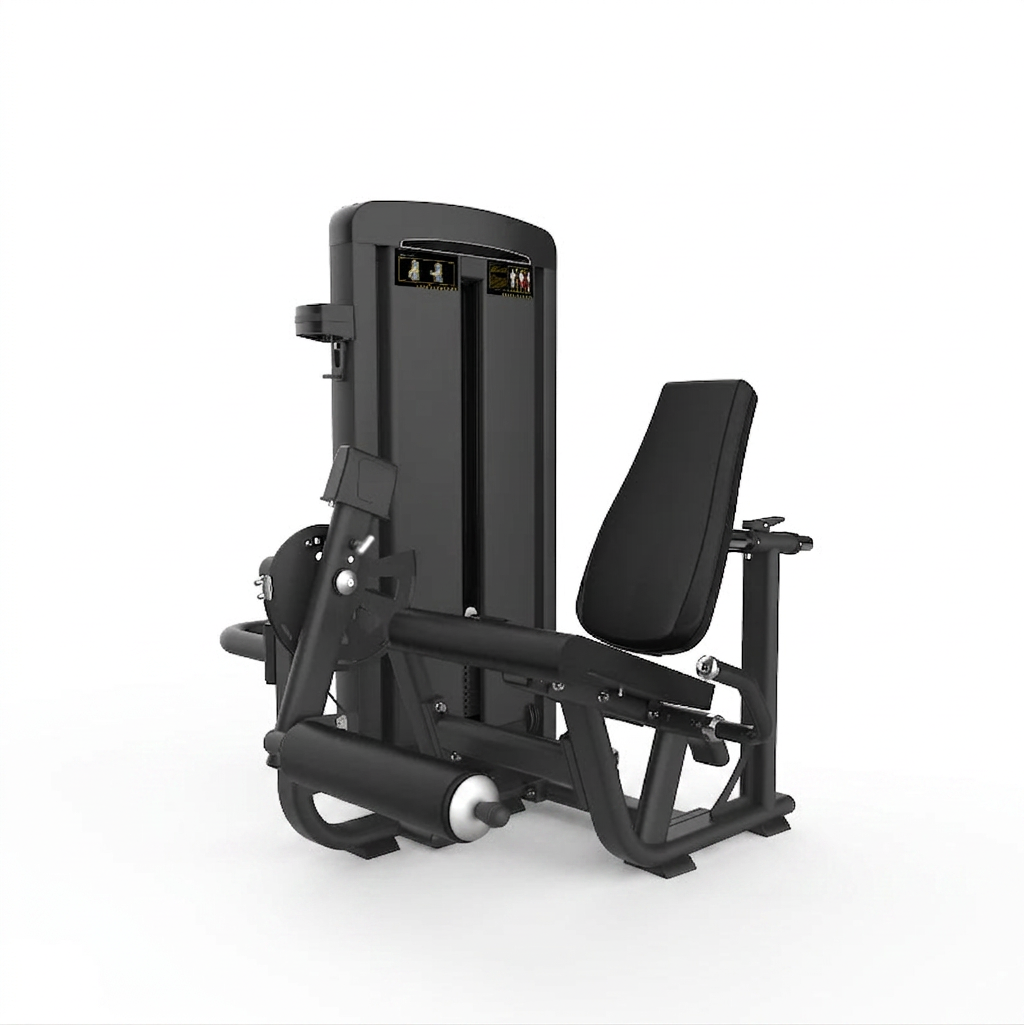 Seated Leg Extension