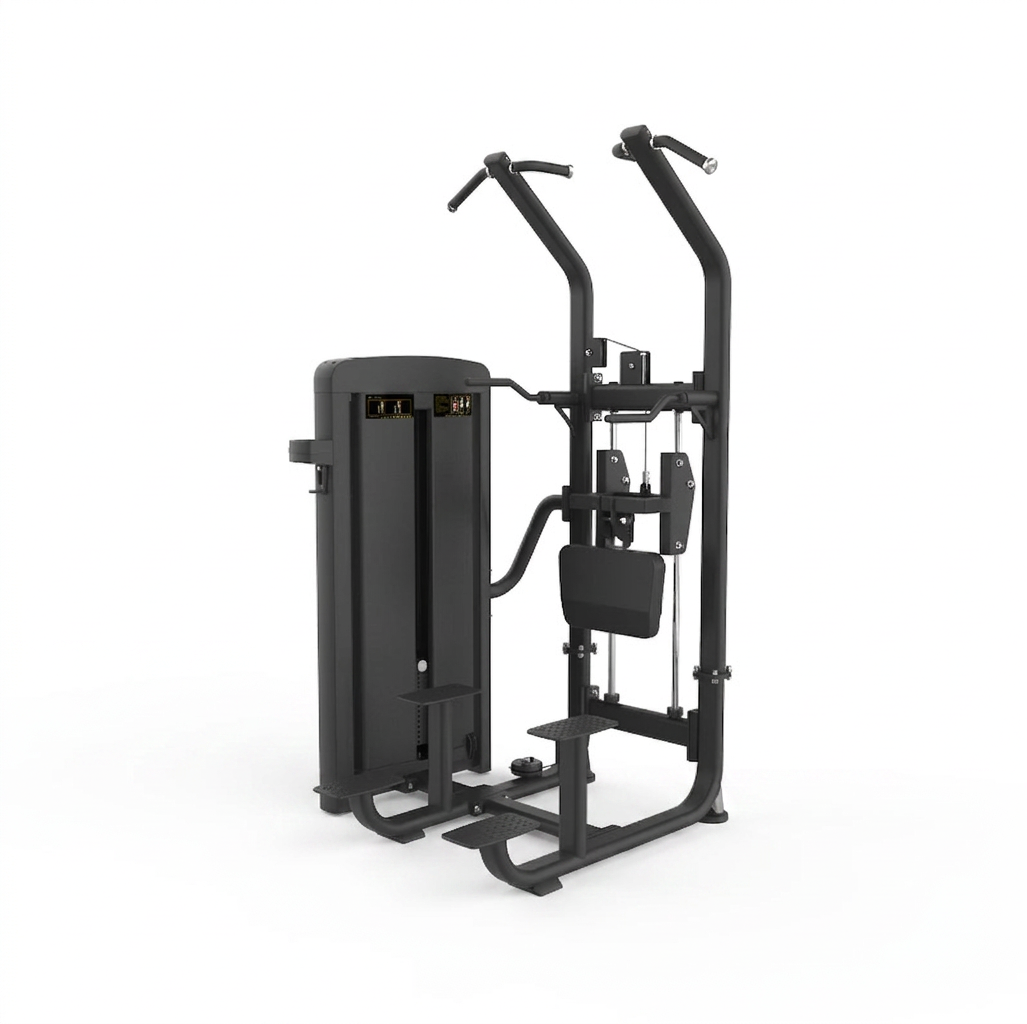 Assisted Pull-Up / Dip