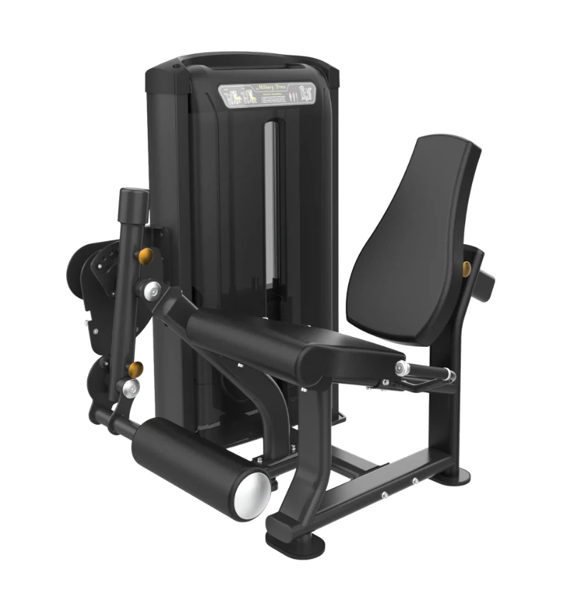 Selectorized Leg Extension